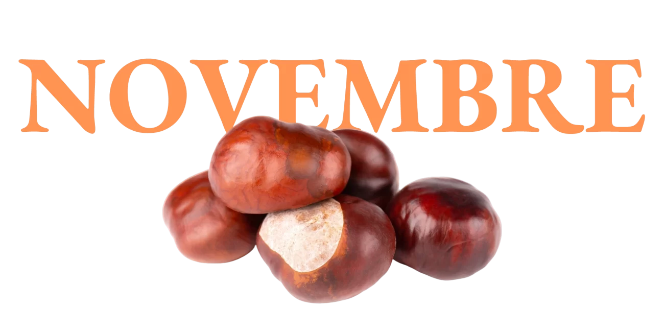 Frutta e Verdura di Stagione: La Lista Mese per Mese frutta e verdura di novembre castagne