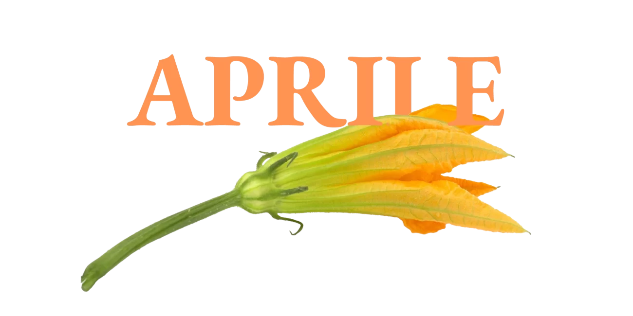 frutta verdura aprile di stagione Frutta e Verdura di Stagione: La Lista Mese per Mese