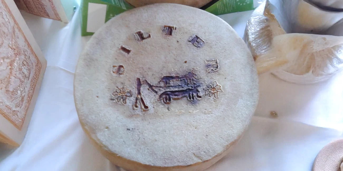 silter dop formaggio tipico lombardo copia