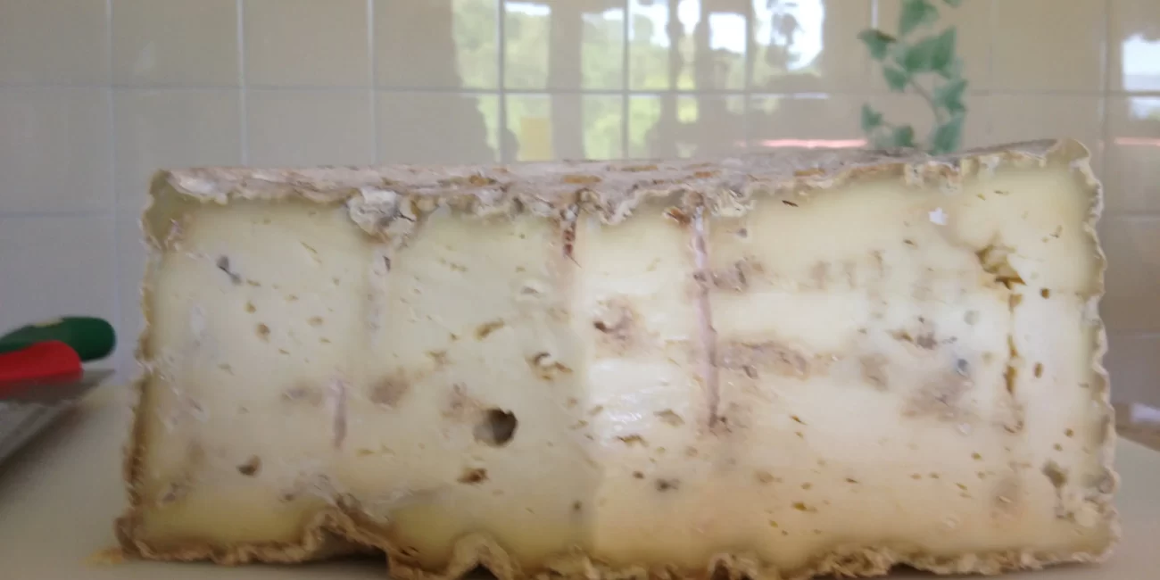 strachitunt dop formaggio tipico lombardo