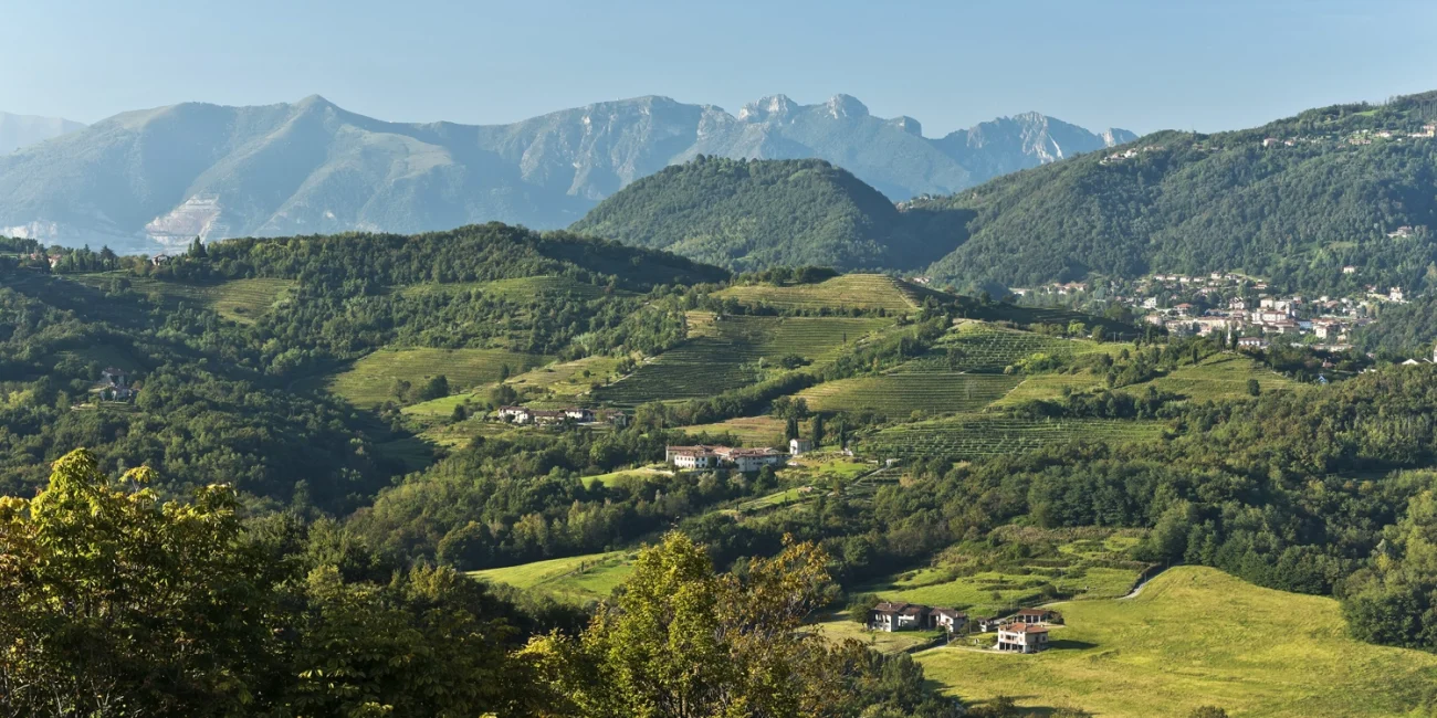 Parco del curone