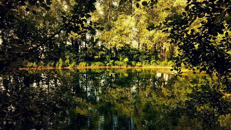 parco ittico paradiso milano