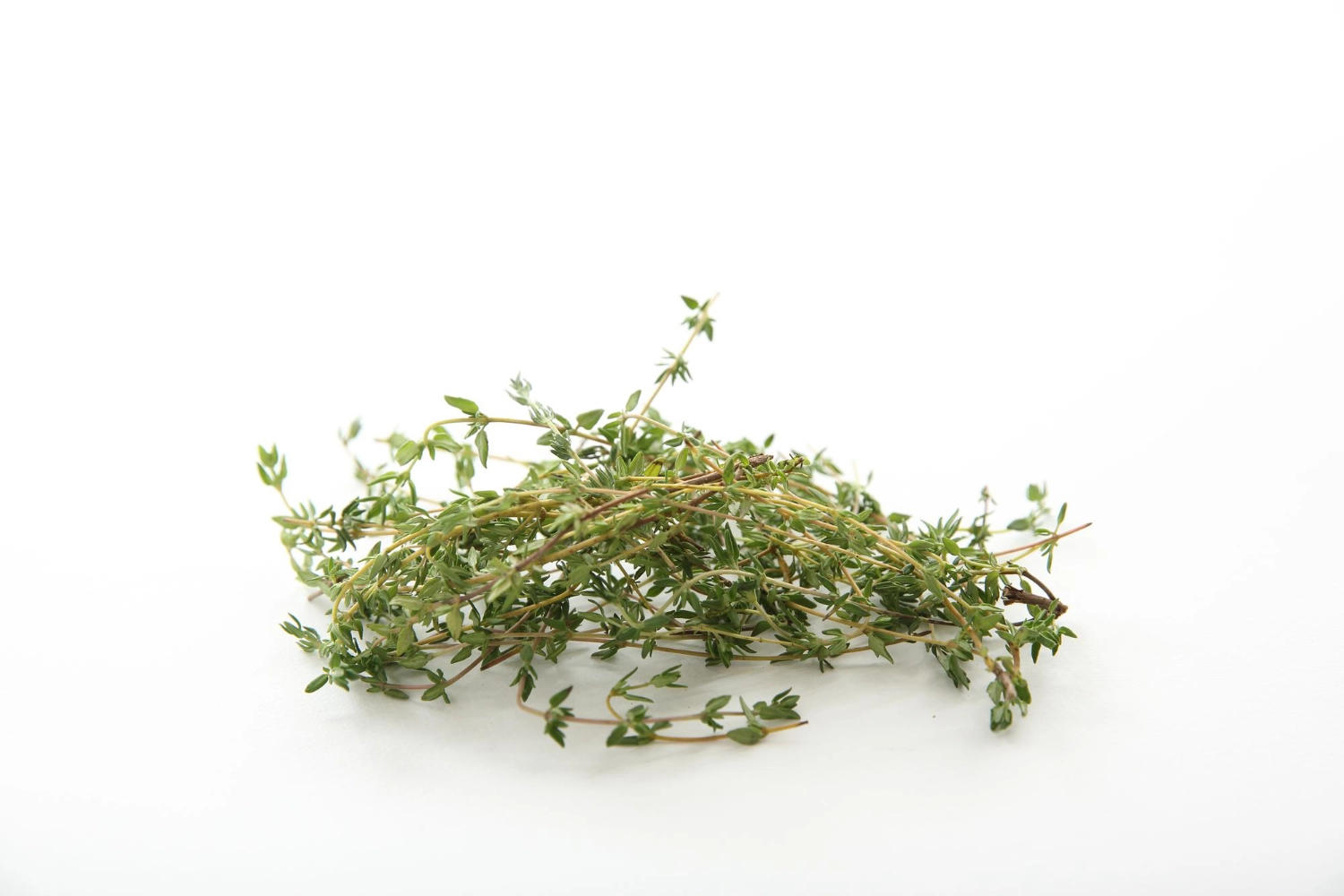 erbe aromatiche timo spezia