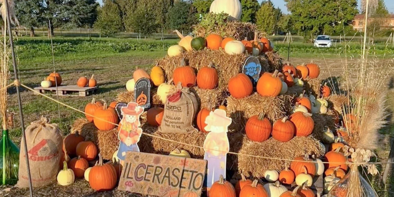 campi di zucche vicino a milano il ceraseto